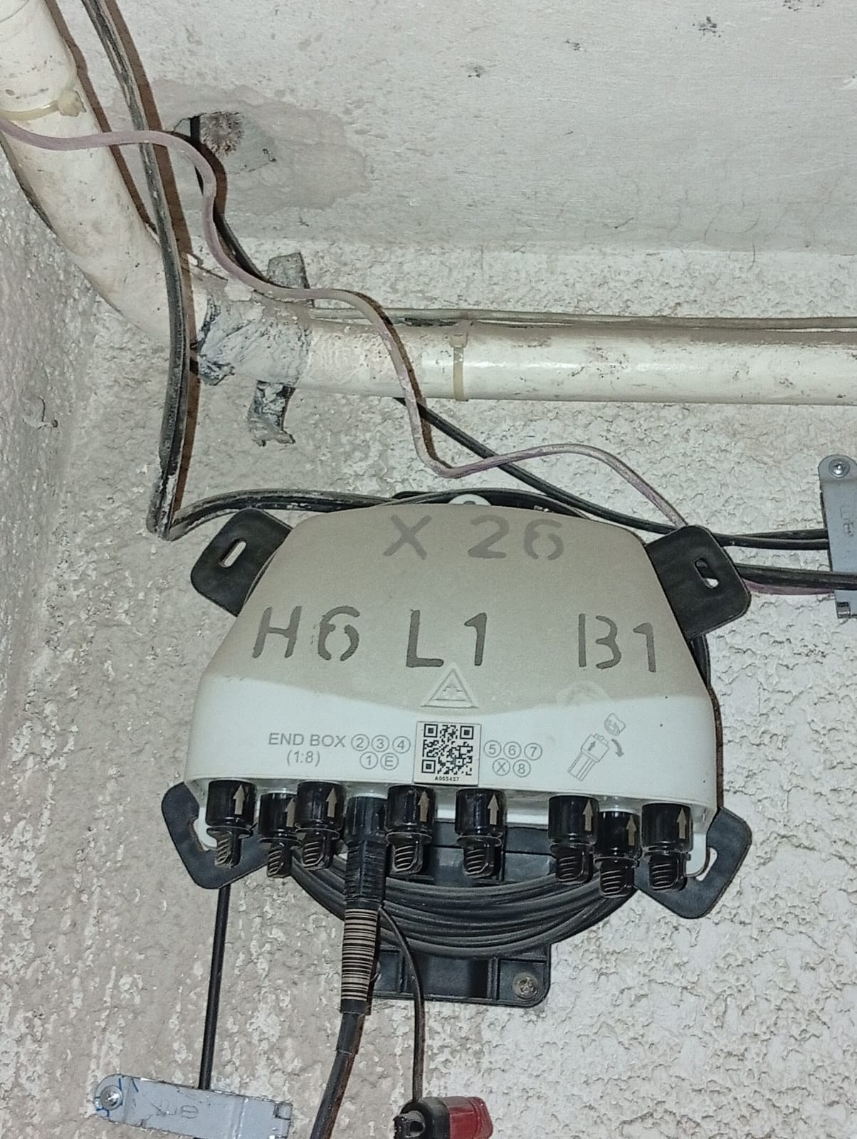 Labeled X-BOX and connected fibers